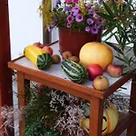 Feriehus U Zamku Sušice