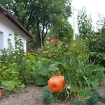 U Zamku Feriehus Sušice
