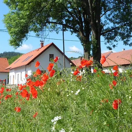 Holiday home U Zamku