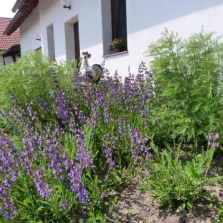 Feriehus U Zamku Sušice