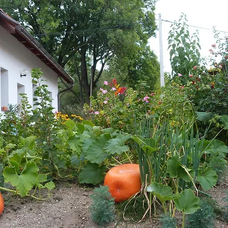 U Zamku بيت للعطل Sušice