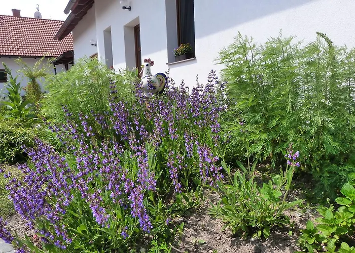 Feriehus U Zamku Sušice