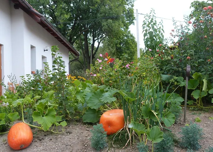 U Zamku Feriehus Sušice